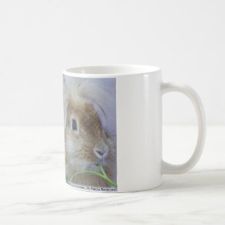 Nooit een slechte haardag! koffiemok