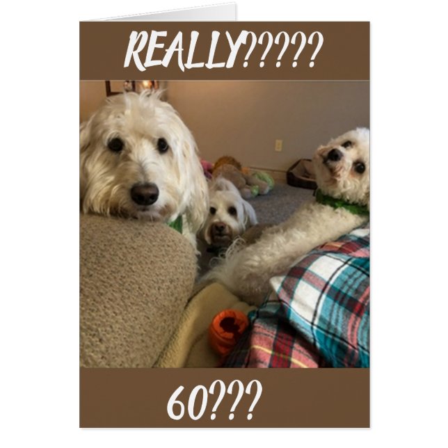 ** NOOIT GEHOORD** JE KUNT NIET ***60*** (Voorkant)