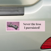 Nooit hoe minder ik Bumpersticker wilde hebben (Op auto)