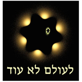 Nooit meer fractale ster van David Fotobeeldje Magneet