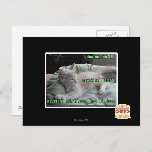 Nooit meer in een kooi leven briefkaart (Voorkant / Achterkant)