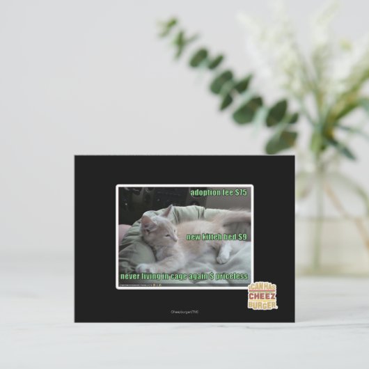 Nooit meer in een kooi leven briefkaart (Staand voorkant)