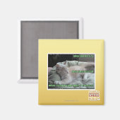 Nooit meer in een kooi leven magneet (Voorkant / Achterkant)