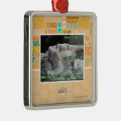 Nooit meer in een kooi leven metalen ornament (Rechts)