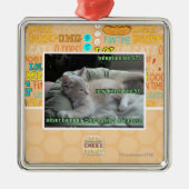 Nooit meer in een kooi leven metalen ornament (Voorkant)