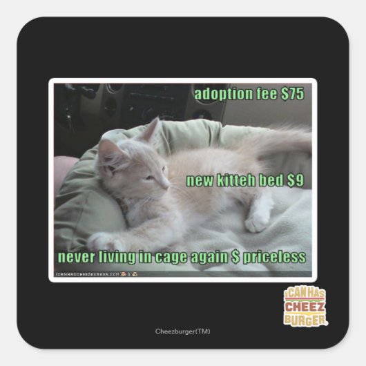 Nooit meer in een kooi leven vierkante sticker (Voorkant)