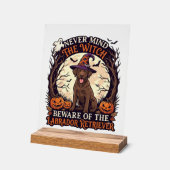 Nooit Mind Heks Pas Op Labrador Retriever Hallowee Acryl Bord (Hoek)