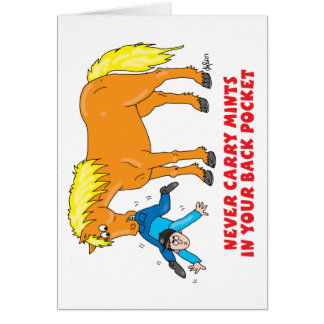 Nooit Minnalen in uw achterzak