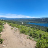 Nooit! Misschien. Poster