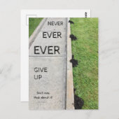 Nooit ooit opgeven. briefkaart (Voorkant / Achterkant)