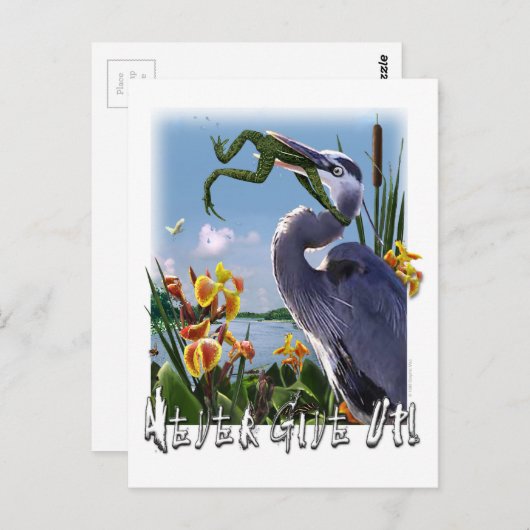 Nooit opgeven! briefkaart (Voorkant / Achterkant)