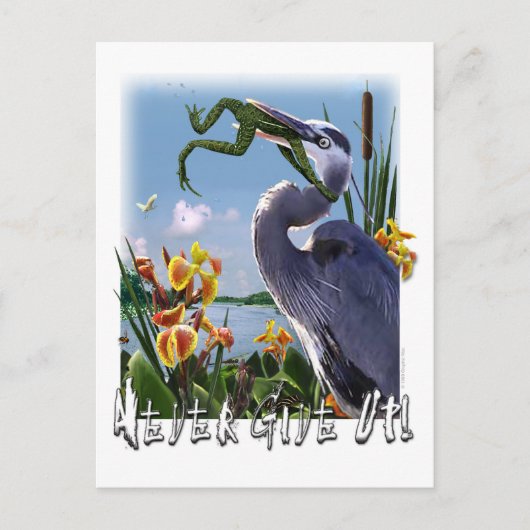 Nooit opgeven! briefkaart (Voorkant)