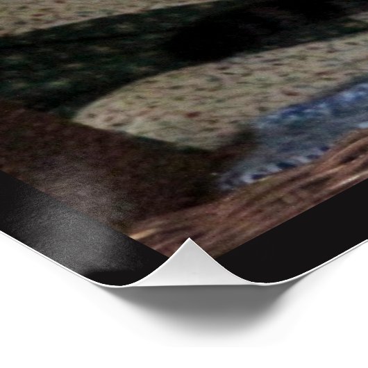 Nooit opgeven - Cat Chasing Mouse Poster (Hoek)