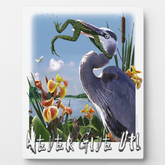 Nooit opgeven! fotoplaat (Voorkant)