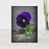 Nooit opgeven! kaart (Voorkant)