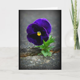 Nooit opgeven! kaart