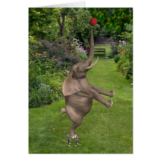 Nooit opgeven - samen zijn we sterk (Voorkant)