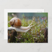 NOOIT OPGEVEN - slakkeneditie Briefkaart (Voorkant / Achterkant)