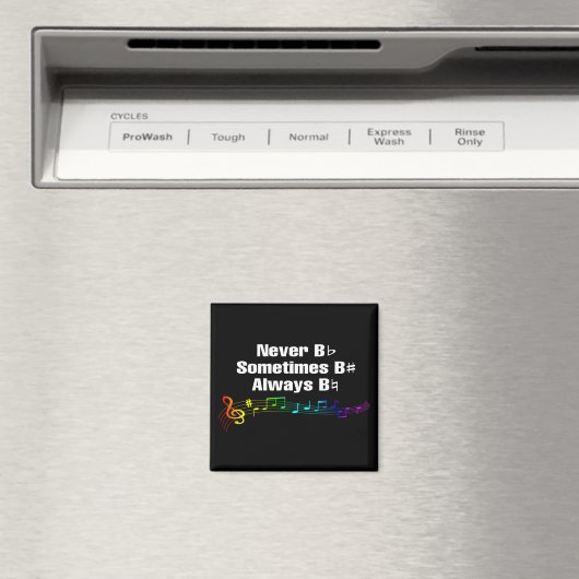 Nooit plat zijn, soms B scherpe magneet (Insitu (Vaatwasser))