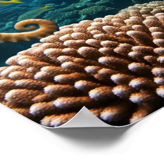 Nooit Poster opgeven (Hoek)