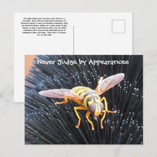 Nooit rechter door beroep Bijen Briefkaart (Voorkant / Achterkant)