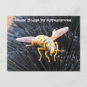 Nooit rechter door beroep Bijen Briefkaart (Voorkant)