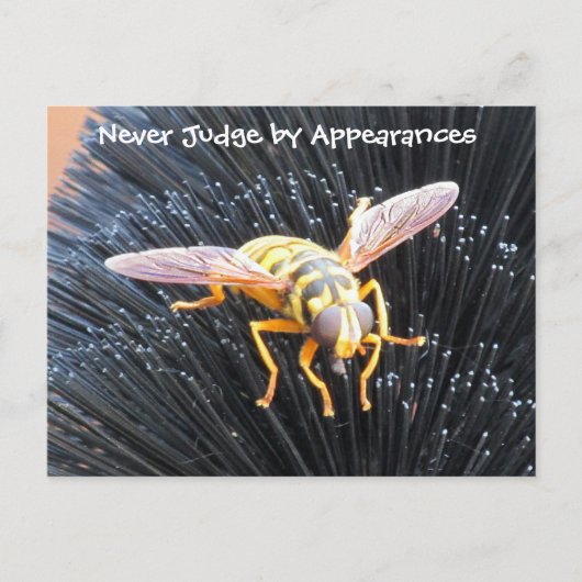 Nooit rechter door beroep Bijen Briefkaart (Voorkant)