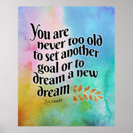 Nooit te oud om te dromen poster