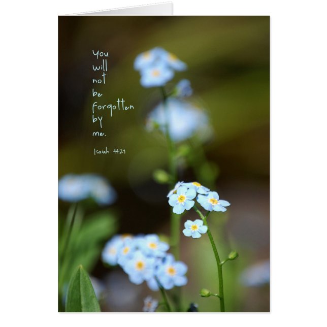 Nooit vergeten (Voorkant)