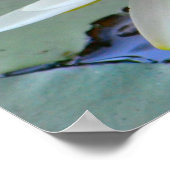 Nooit Waterlily opgeven Poster (Hoek)