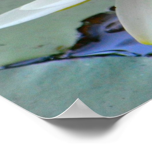 Nooit Waterlily opgeven Poster (Hoek)