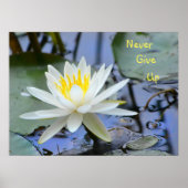 Nooit Waterlily opgeven Poster (Voorkant)