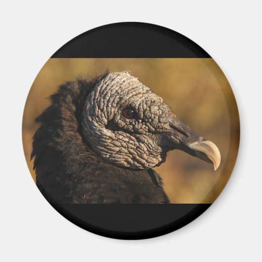 Nooks & Crannies Magneet (Voorkant)