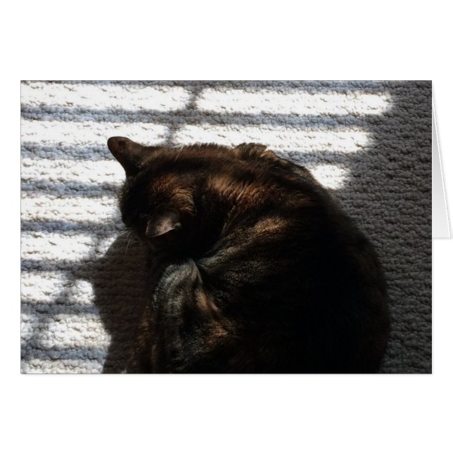 Noontime Nap, kaart (Voorkant Horizontaal)