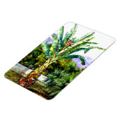 Noord-Abyssiniaanse Ensete in een tuin in Tenerife Magneet (Linkerzijde)