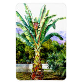 Noord-Abyssiniaanse Ensete in een tuin in Tenerife Magneet (Verticaal)