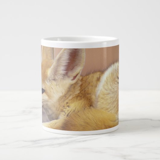 Noord-Afrika. Fennec Fennecus zerda) Grote Koffiekop (Voorkant)