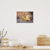 Noord-Afrika. Fennec Fennecus zerda) Poster (Keuken)