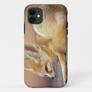 Noord-Afrika. Fennek Fennecus zerda) Case-Mate iPhone Case