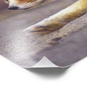 Noord-Afrika. Fennek Fennecus zerda) Foto Afdruk (Hoek)