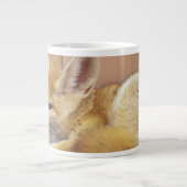 Noord-Afrika. Fennek Fennecus zerda) Grote Koffiekop (Voorkant)