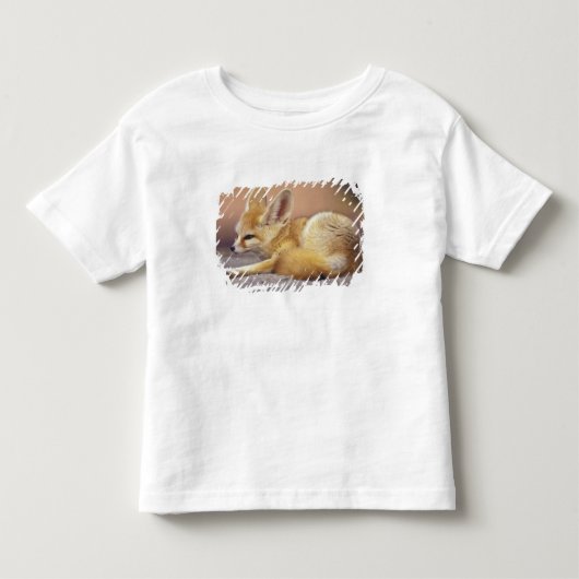 Noord-Afrika. Fennek Fennecus zerda) Kinder Shirts (Voorkant)