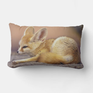 Noord-Afrika. Fennek Fennecus zerda) Kussen
