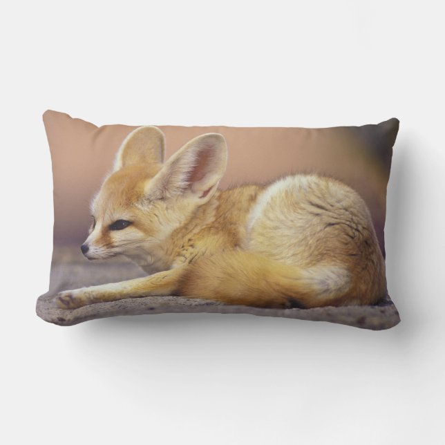 Noord-Afrika. Fennek Fennecus zerda) Kussen (Voorkant)