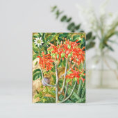 Noord - Aloe en Passiebloem, Zuid-Afrika, Briefkaart (Staand voorkant)