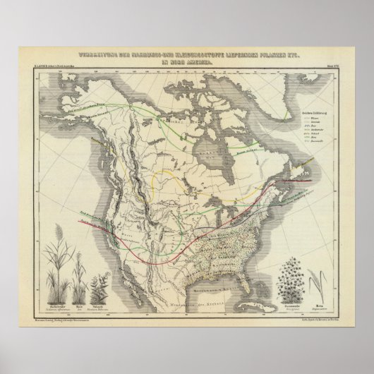 Noord-Amerika 13 Poster (Voorkant)