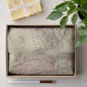 Noord-Amerika 19 Tissuepapier (Geschenk)