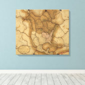 Noord-Amerika 20 Canvas Afdruk (Insitu (Houten vloer))