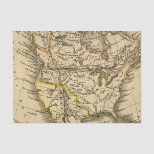 Noord-Amerika 40 Tissuepapier (Voorkant)