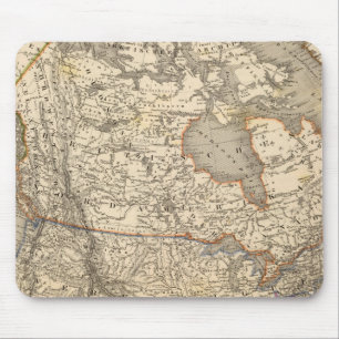 Noord-Amerika 45 Muismat